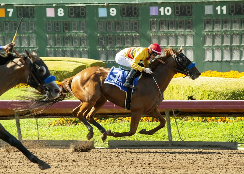 Wynstock and jockey Kyle Frey, right, outleg Cornell (Edwin Maldonado), left, to win the $100,000 Los Alamitos Derby, Saturday, June 29, 2024 at Los Alamitos Race Course, Cypress CA. © BENOIT PHOTO